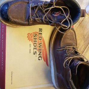 Redwing Irish Setters